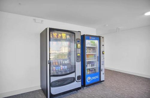 Clearwater Beach Hotel | The Avalon Club