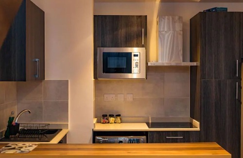 Roman Ridge Apartment | The Avery Loft at Embassy Gardens, Cantonments