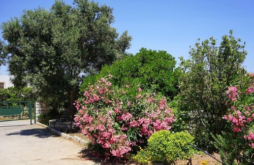 Kithira Apartment | The Baker's Delight