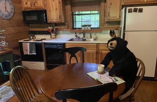 Townsend Cabin | The Blue Door Cabin: Charming, All-Wood w/Screened-in Porches - quiet & relaxing