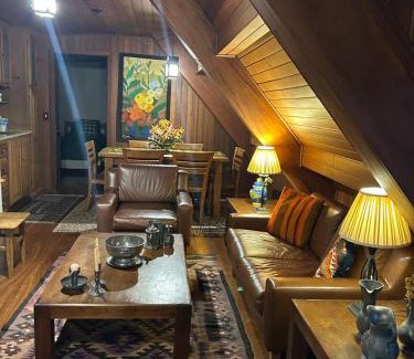 Vila Inglesa House | The Braun House