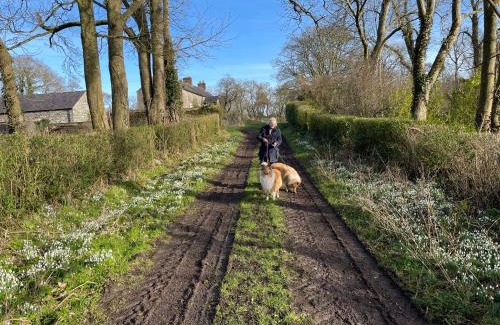 Dromore Apartment | The Byre (Unusual and Different).