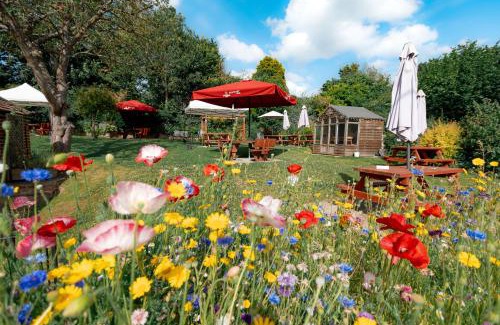 New Forest District Hotel | the Cartwheel Inn