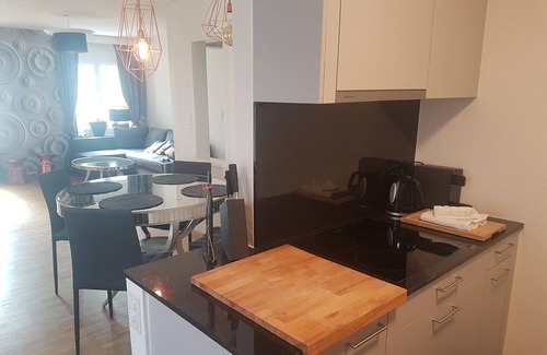 Enge Apartment | the city accommodation at Brandschenkestr corner Bederstrasse