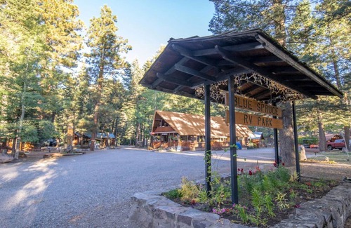 Bayfield Cabin | The Columbine Cabin #9