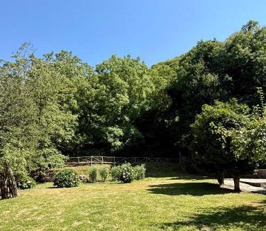 Tsagarada House | The Cottage in the Trees