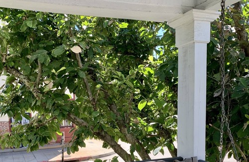 Spanish Town Historic District Hotel | The Cottages at Capitol Park