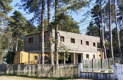 Quend Villa | The datcha in the trees, modernist villa