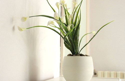 Florence House | The Deer Oasis