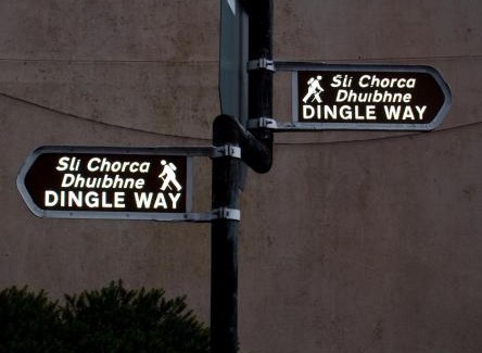 Dingle House | The Dingle Pub Rooms
