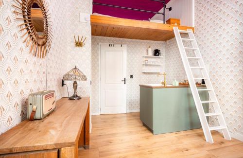 Zwolle City Centre Apartment | The Disco Duck B - city centre Zwolle