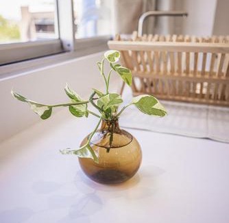 Papeete Apartment | The Downtown Studio