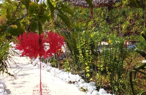 Mkunguni Bed & Breakfast | The Dream Garden Bungalow