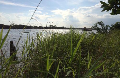 Cai Be Cabin | The Durian Lodge at Mekong