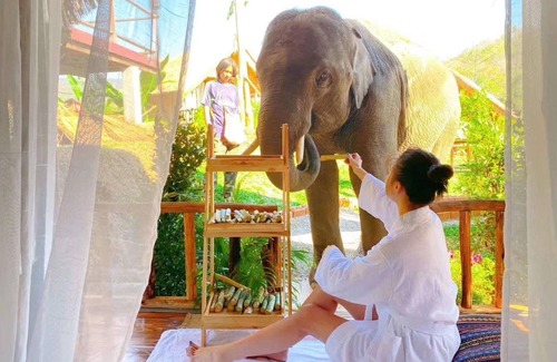 Mae Wang Cabin | The Elephant B&B