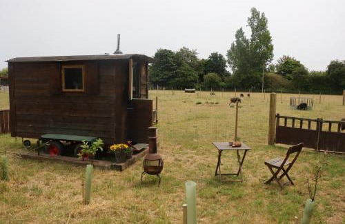 Attleborough Other | The Falgate Shepherd's Hut