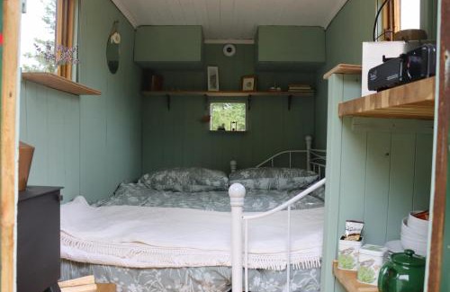 Attleborough Other | The Falgate Shepherd's Hut