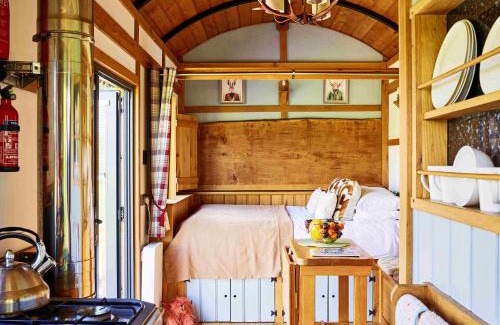 Trecastle Apartment | The Flying Scotsman Shepherd's Hut with Hot Tub