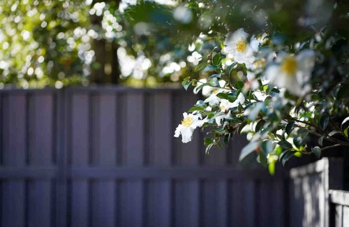 Forestville Apartment | The Forest Nest - private garden studio