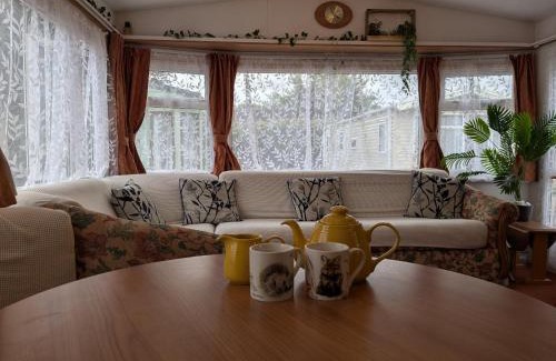 Westbrook Court Other | The fox den