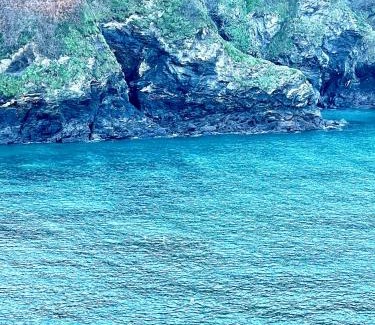 Port Isaac House | The Gallery