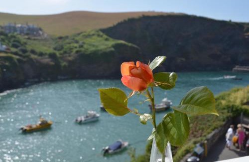 Port Isaac House | The Gallery