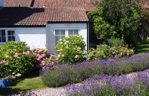 Nether Stowey Cottage | The Garden Wing in the village of Nether Stowey in the Quantock Hills Somerset
