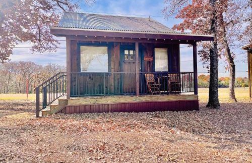 Elm Mott Ski Chalet | The Goldfinch Cabin 15 MIN to Magnolia Baylor