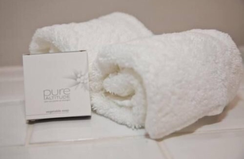 Woolhope Hotel | The Green Man