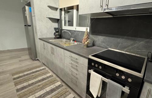 Dafni-Ymittos Apartment | The Greys Apartments ATH