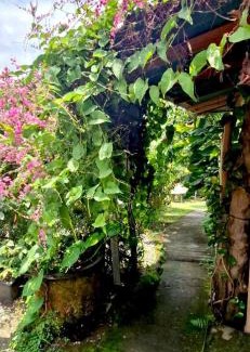 Mendoyo Bed & Breakfast | The Hidden Gem of Jembrana Bali
