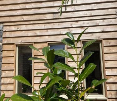 Meare Apartment | The Hideaway at Ring O Bells, Meare, Glastonbury