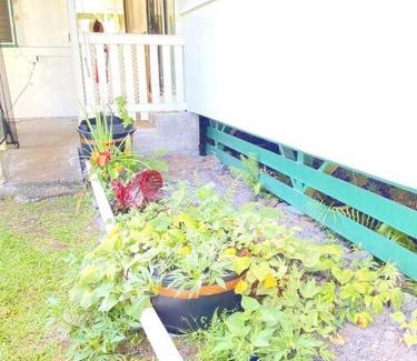 Hilo House | THE HILO HOMEBASE - Charming 3 Bedroom Hilo Home, with AC!