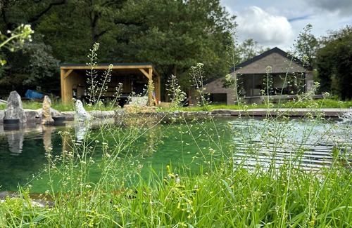 Couvin House | The House in the Woods