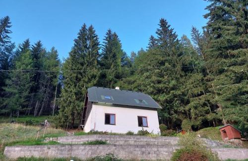Nove Hamry House | The House Next to the Forest - LAKMAT
