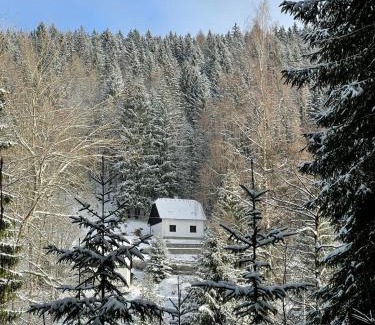 Nove Hamry House | The House Next to the Forest - LAKMAT