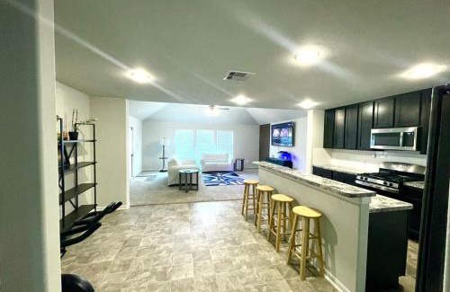 Rosenberg Apartment | The House