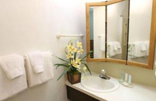Wailua Hotel | The ISO by Castle