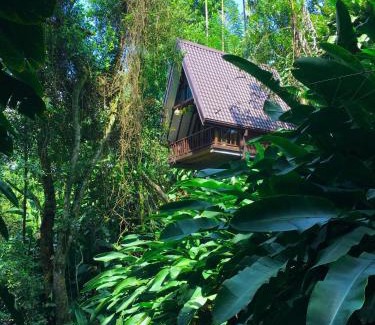 Ella Cabin | THE JUNGLE CABIN ella