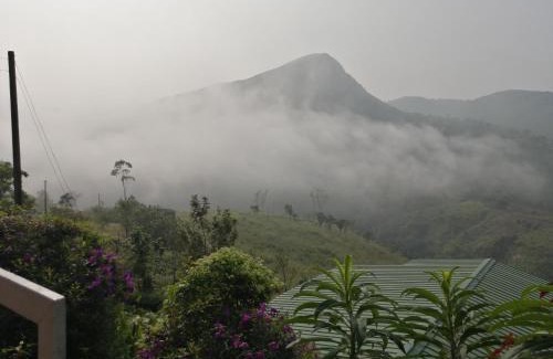 Vagamon Resort | The Kissing Mountains