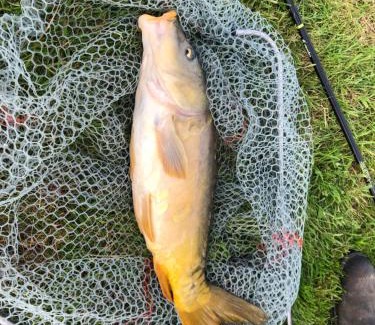 Bommiers House | The Lake Room Cottage with Private Fishing Lake