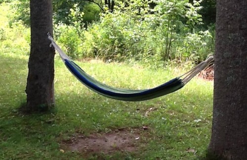 Elkins House | The landing on the shaver's fork