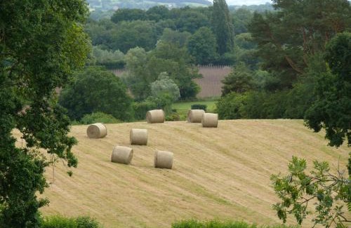 Hay-on-Wye Bed & Breakfast | The Larches Ledbury