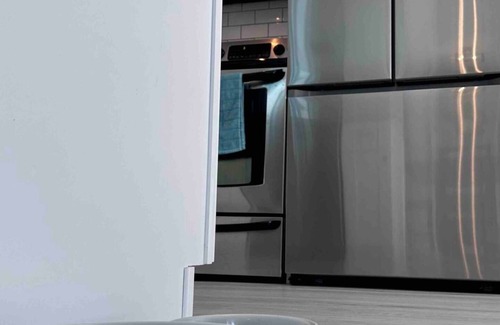 St. Petersburg - Clearwater House | The Lazy Lizard~Fun Cozy Cottagenn