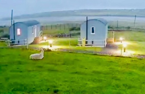 Ballyshannon Apartment | The Lazy Llama Shepherd Hut Campview Farm Stay
