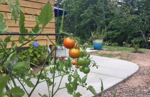 Dahlonega Hotel | The Limelight Inn