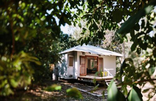 Nelly Bay House | The Little Bush Hut