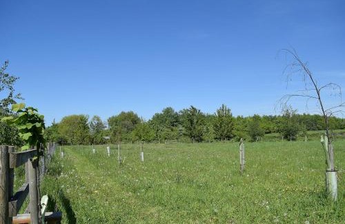 Pershore House | The Lodge At Elmley Meadow