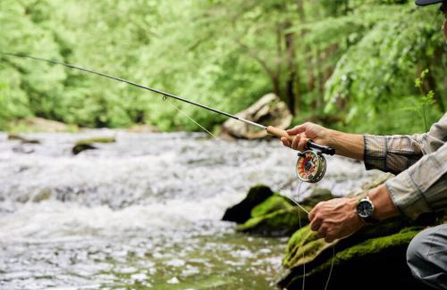 Meadows Of Dan Resort | The Lodge at Primland, Auberge Collection
