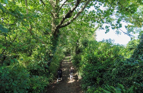 Gyrngoch Cottage | THE LODGE AT TAL ERYR, pet friendly, with a garden in Clynnog Fawr